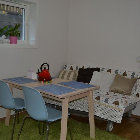 Totally Independent Apartment Near Ntnu,Lerkendal And Center Trondheim Eksteriør billede
